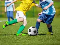 日本國奧門,含淚告别四,強賽場,ManBetX,万博,万博体育入口,万博官网,万博体育APP下载